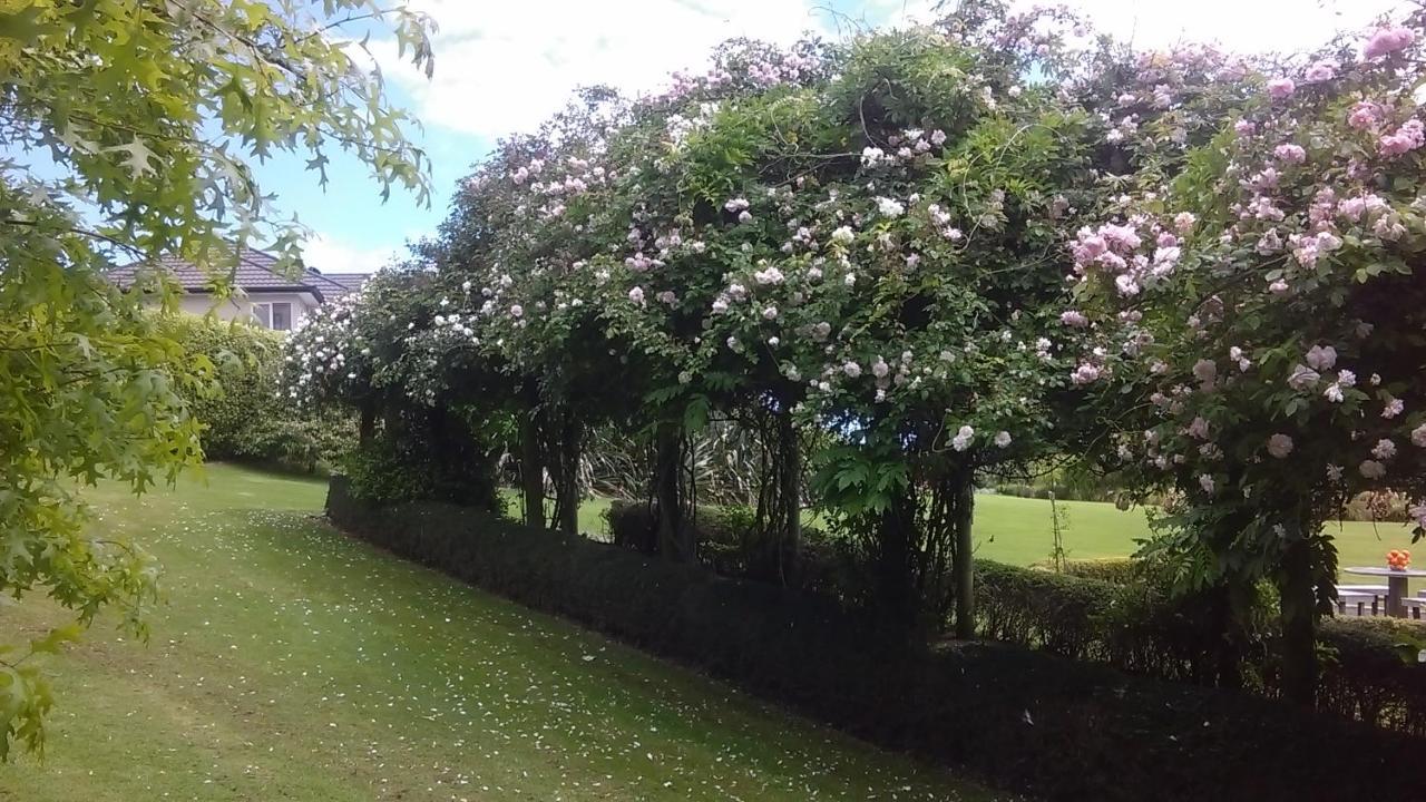 Shurinji Whanganui Extérieur photo